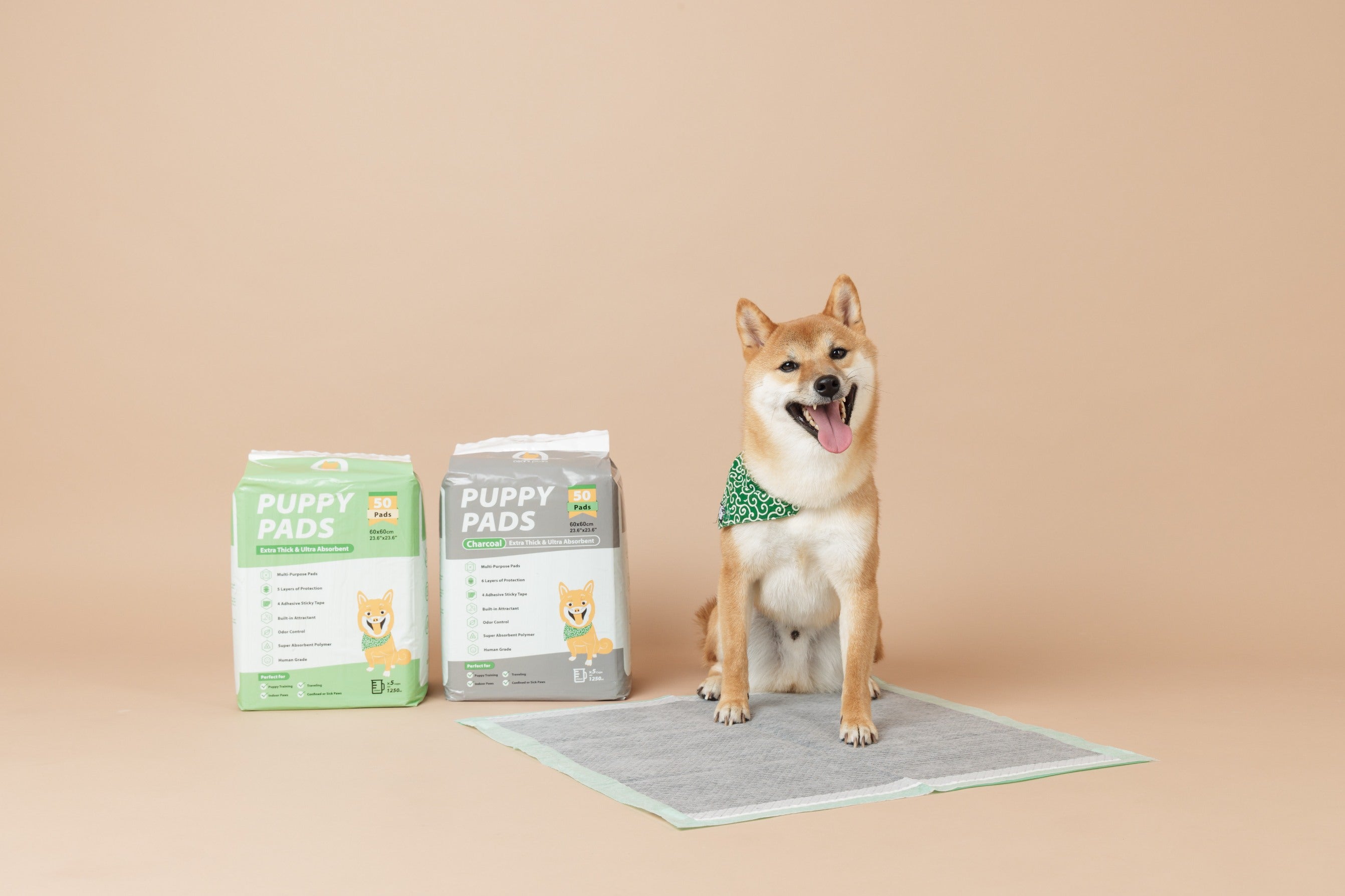 Becoming a Dog Parent? [Guide to Caring Your Pups with Puppy Pads]