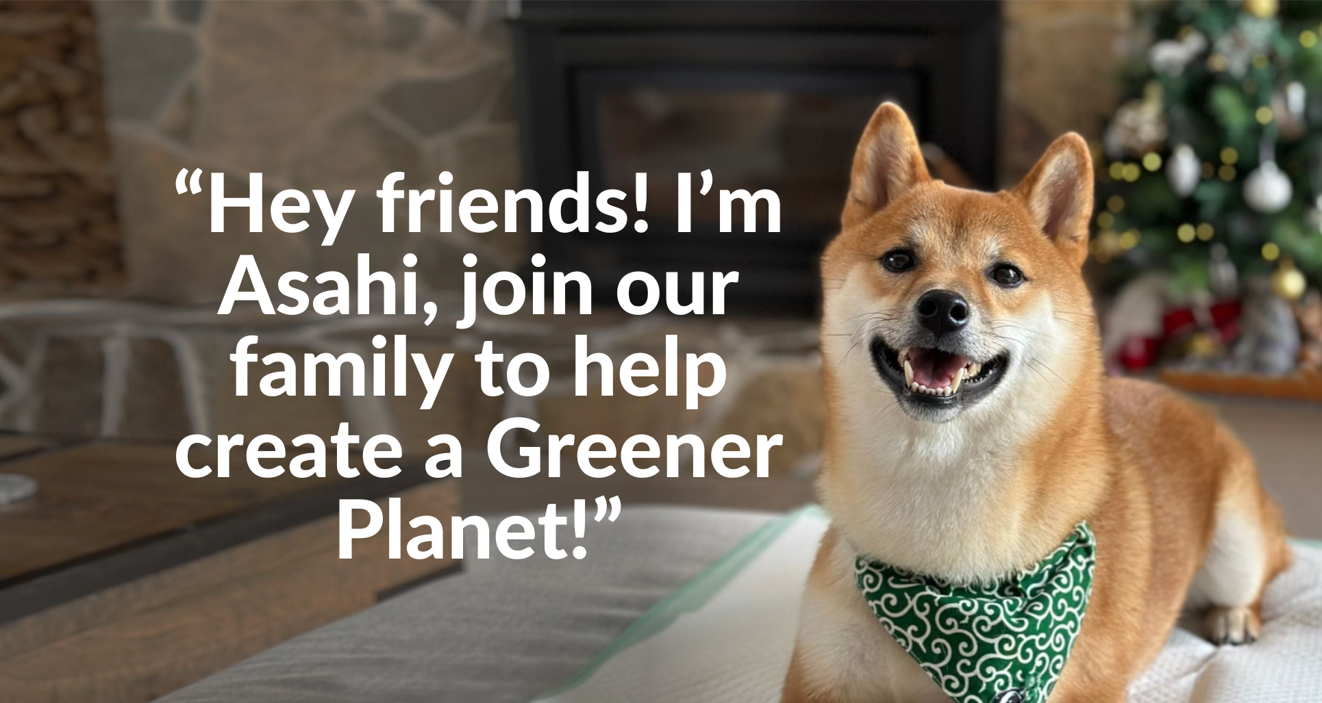 Asahi Paws: Eco-friendly Pet Care Products