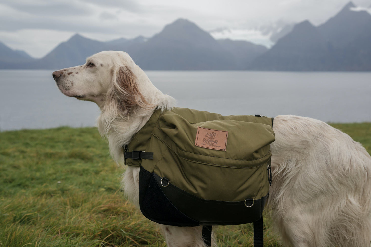 Hit the Road with Your Pup: Tips for Travelling with Puppy Pads