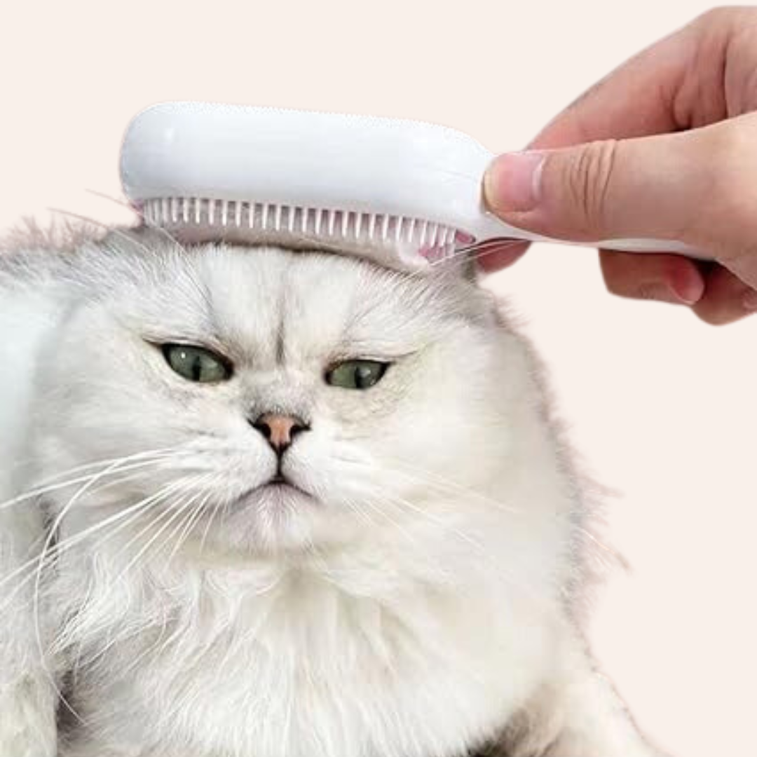 2 in 1 Cleaning Pet Grooming Brush