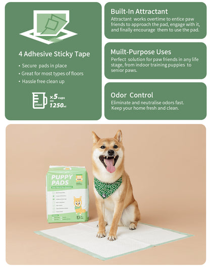 Puppy Training Essential Bundle: Regular Puppy Pads